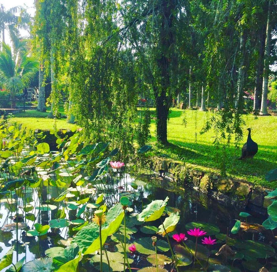 Les Hameaux De L'orient 3*