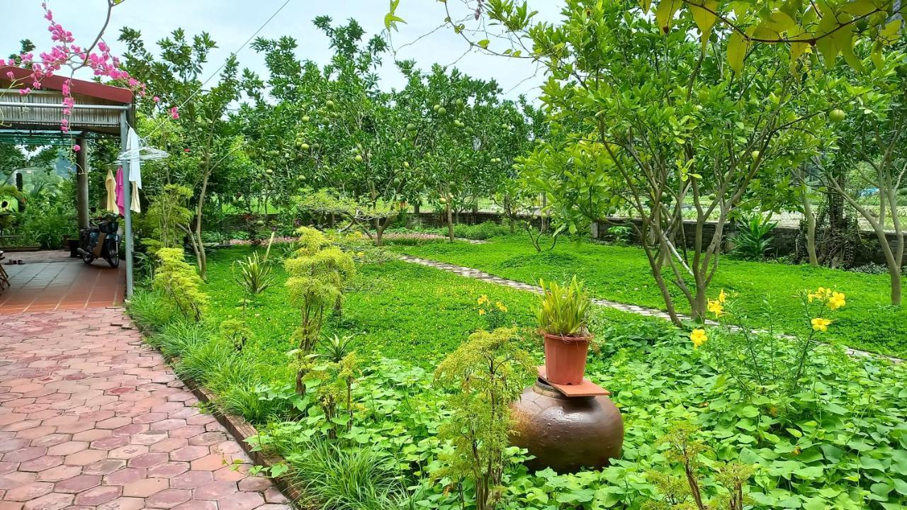 Yen Binh