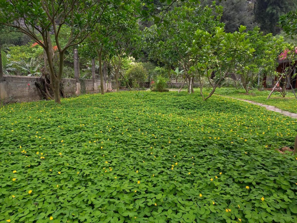 Yen Binh lều