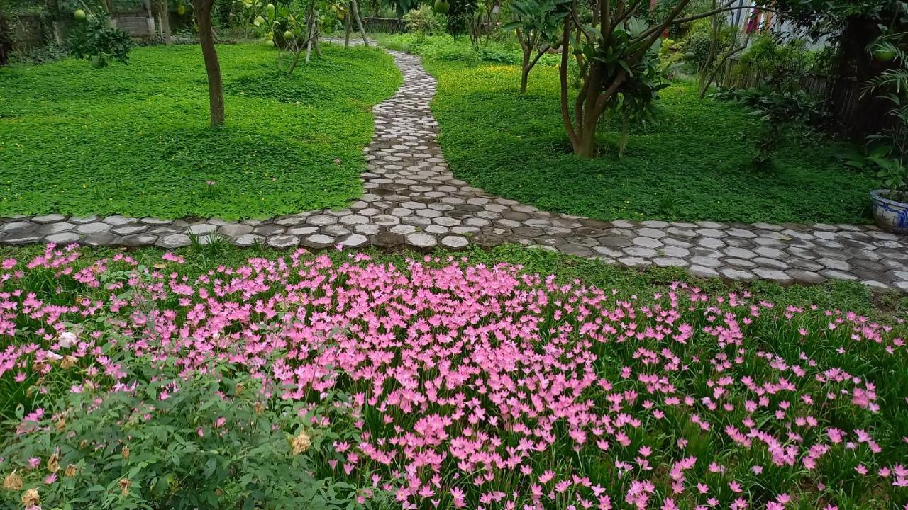 Yen Binh * Ninh Bình
