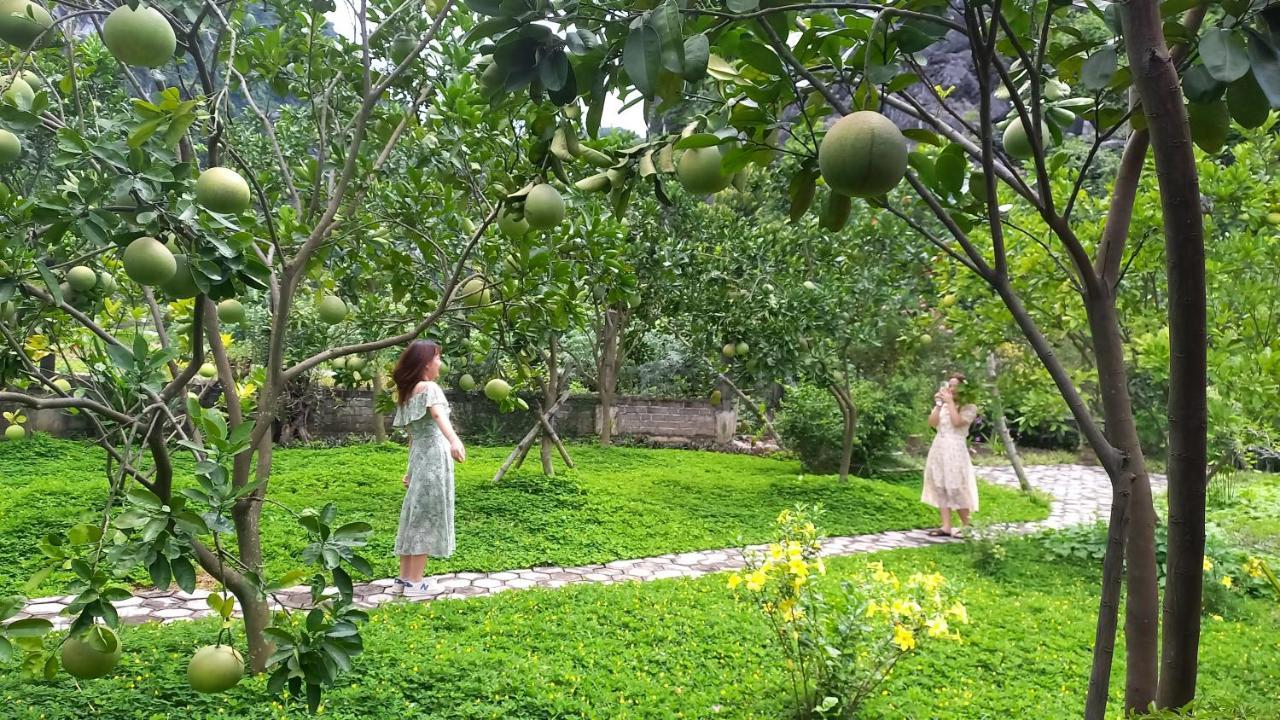 Yen Binh lều Ninh Bình