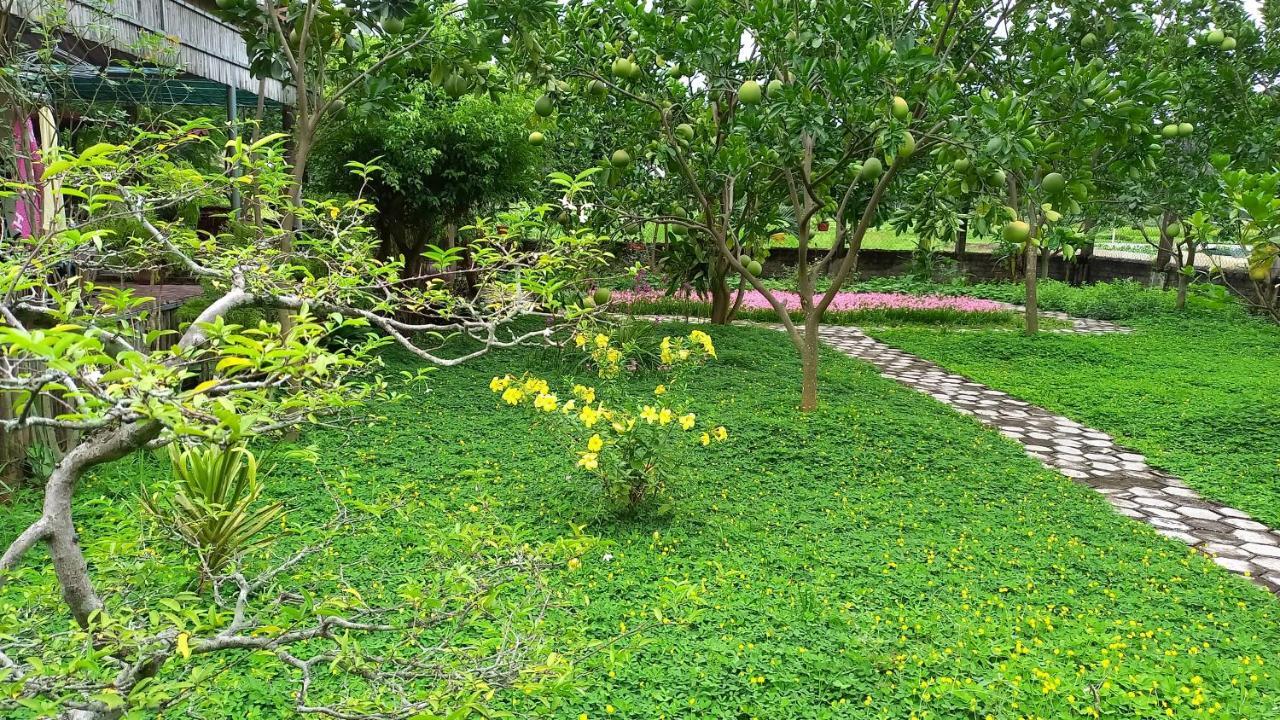 Yen Binh *