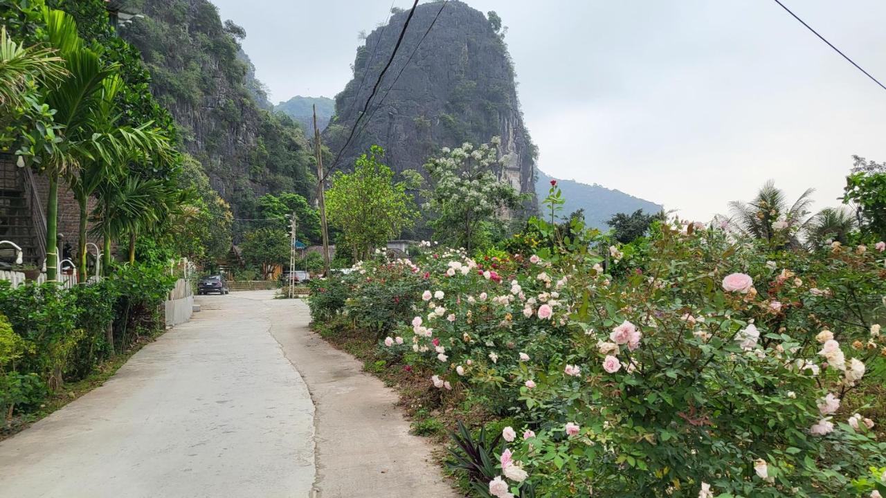 Tam Coc Eco Field Homes *