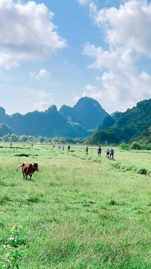 Unicharm Cruise  Ha Long