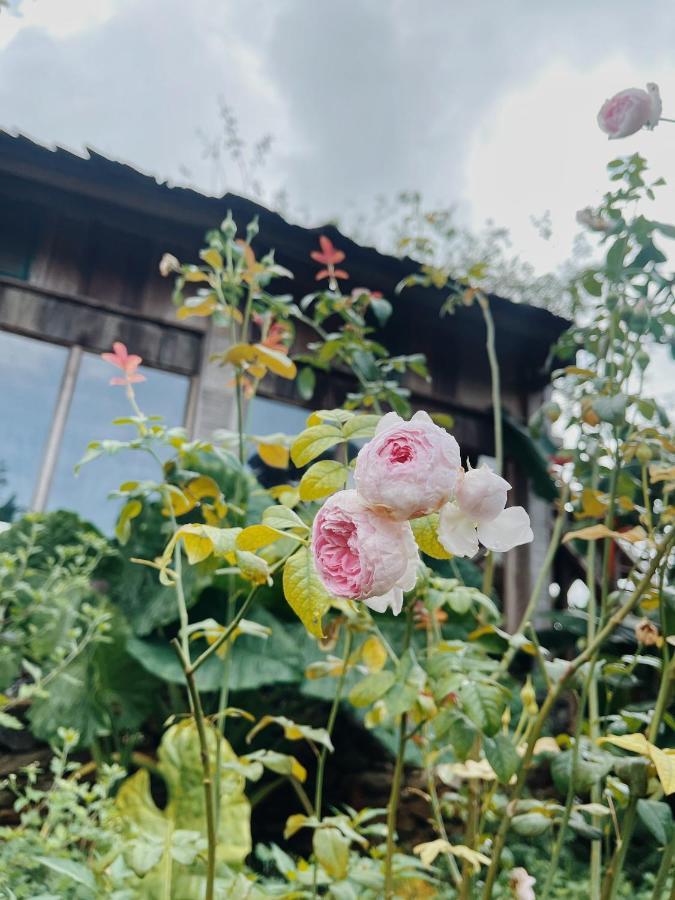 Tiem Ca Phe & Coffee Lodge Moc Chau