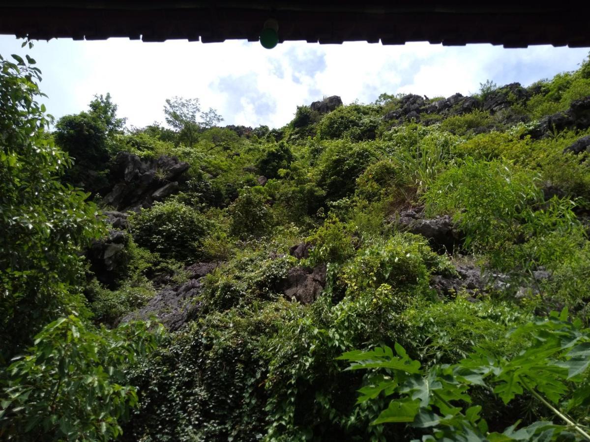 Ali Ninh Binh