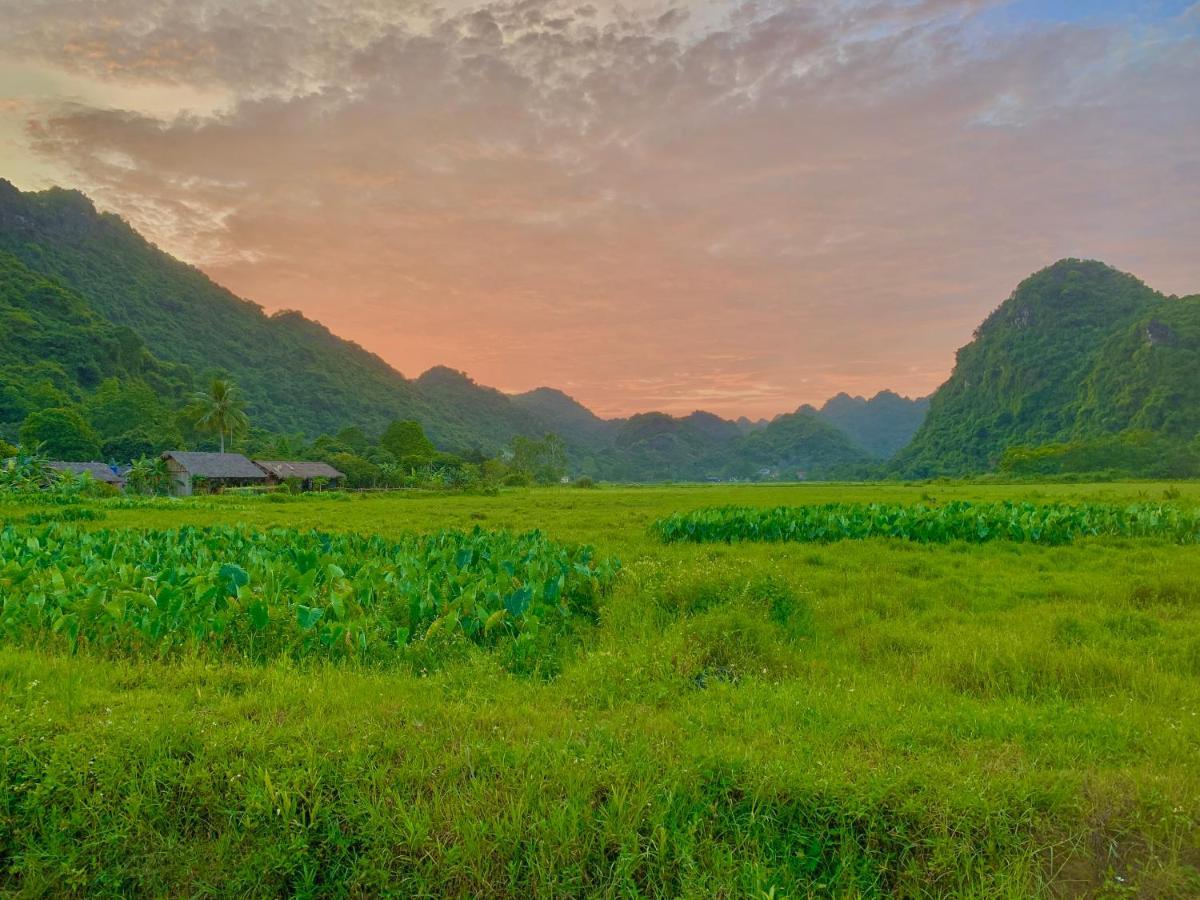 Viet Lan * Trung Trang