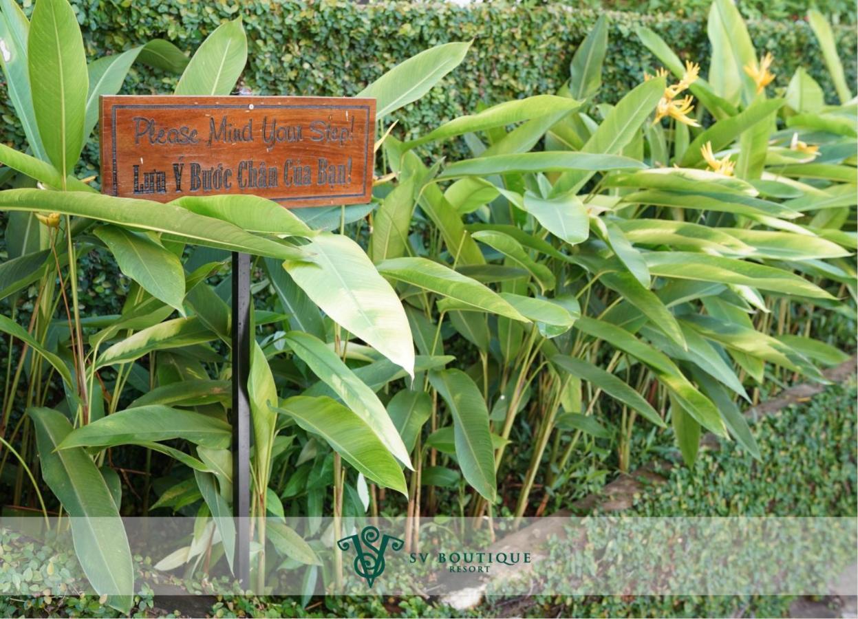 Sv Boutique Vung Tau