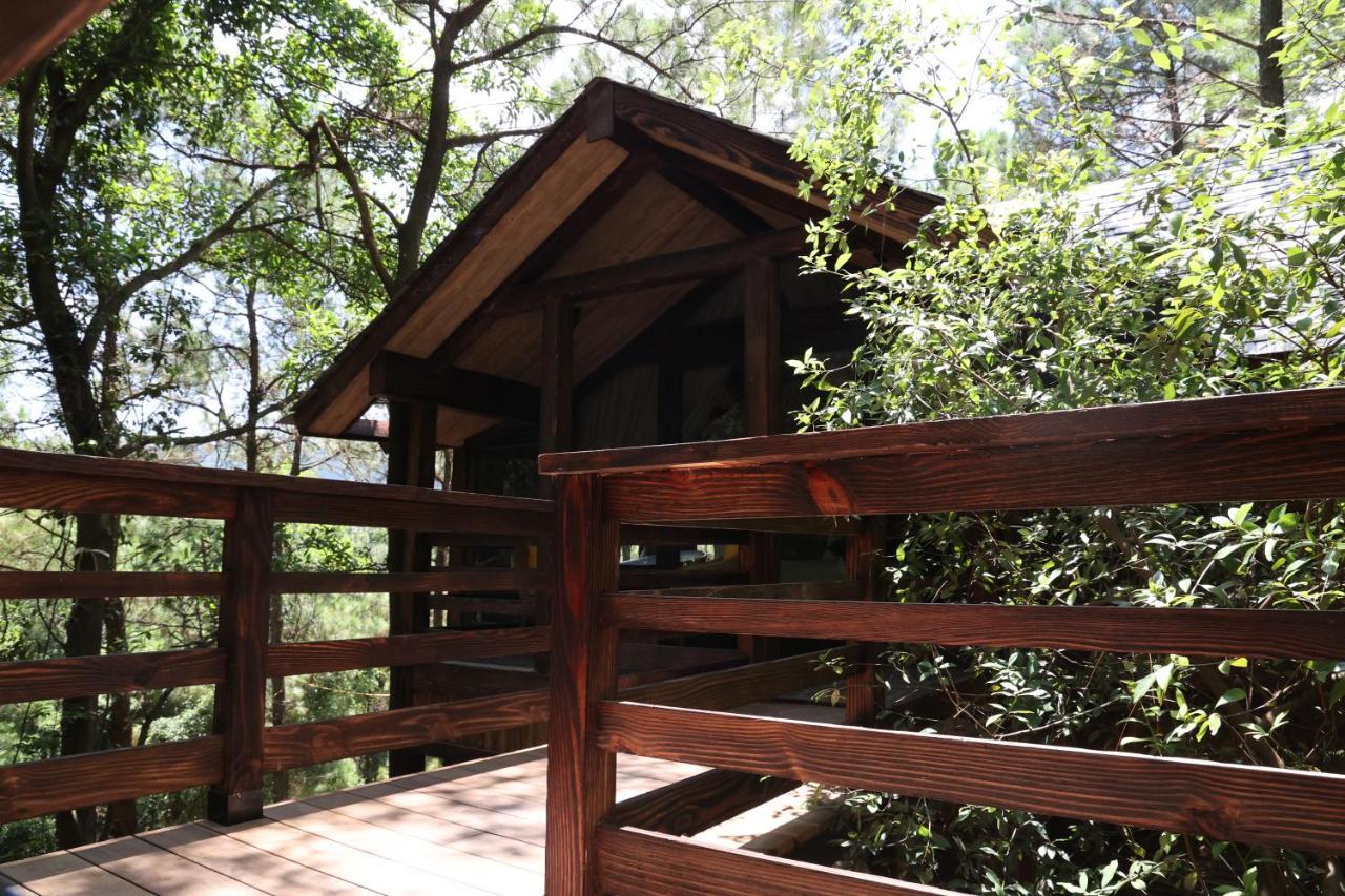 Amaya Retreat * Hà Nội
