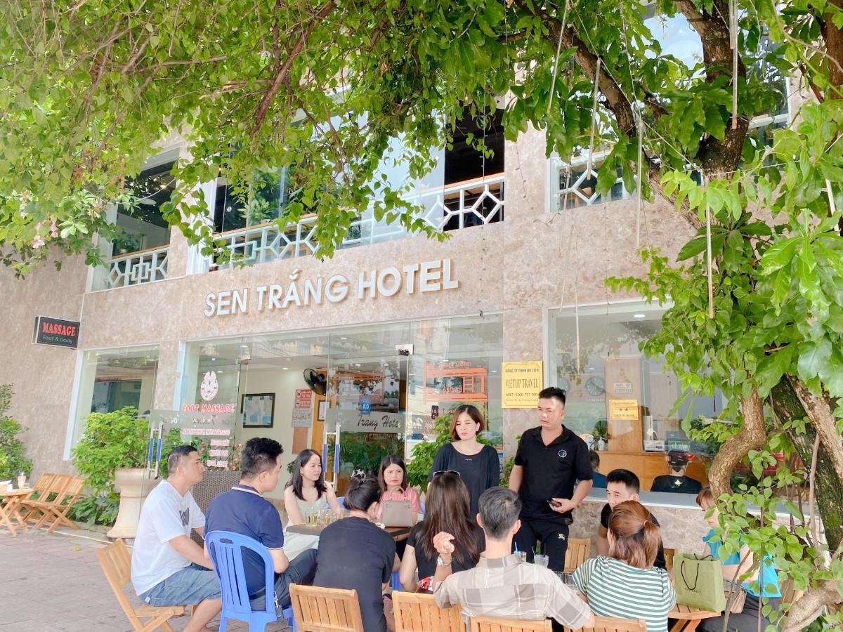 Sen Trang Lao Cai
