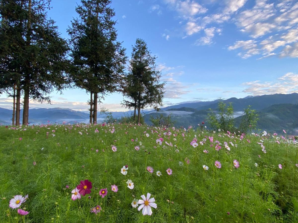& Trekking *