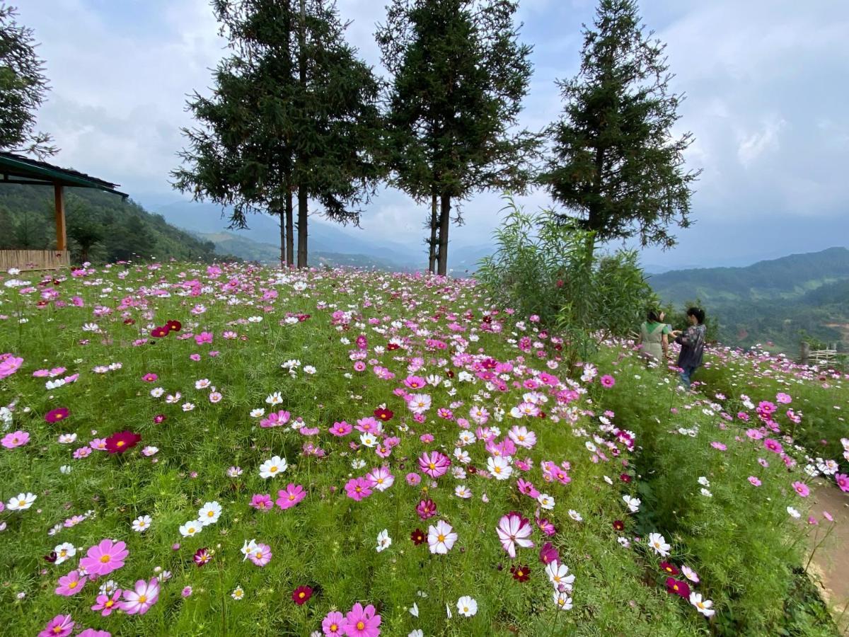 & Trekking * Mu Cang Chai