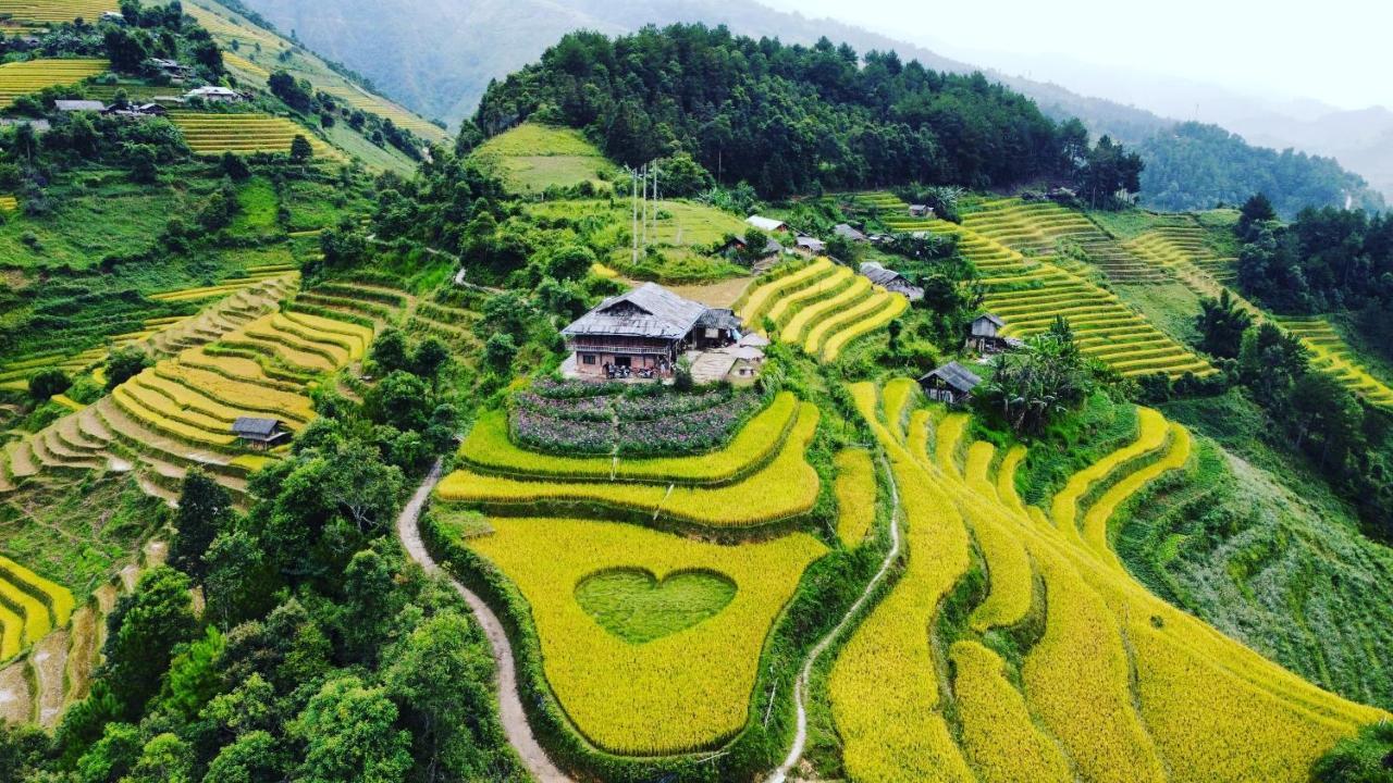 Big View Homestay, Tour & Vegetarian *