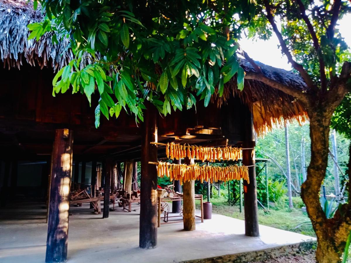 Muong Retreat- Nghi Duong Xanh Trong Bao Tang Van Hoa Nghe Thuat,hoa Binh