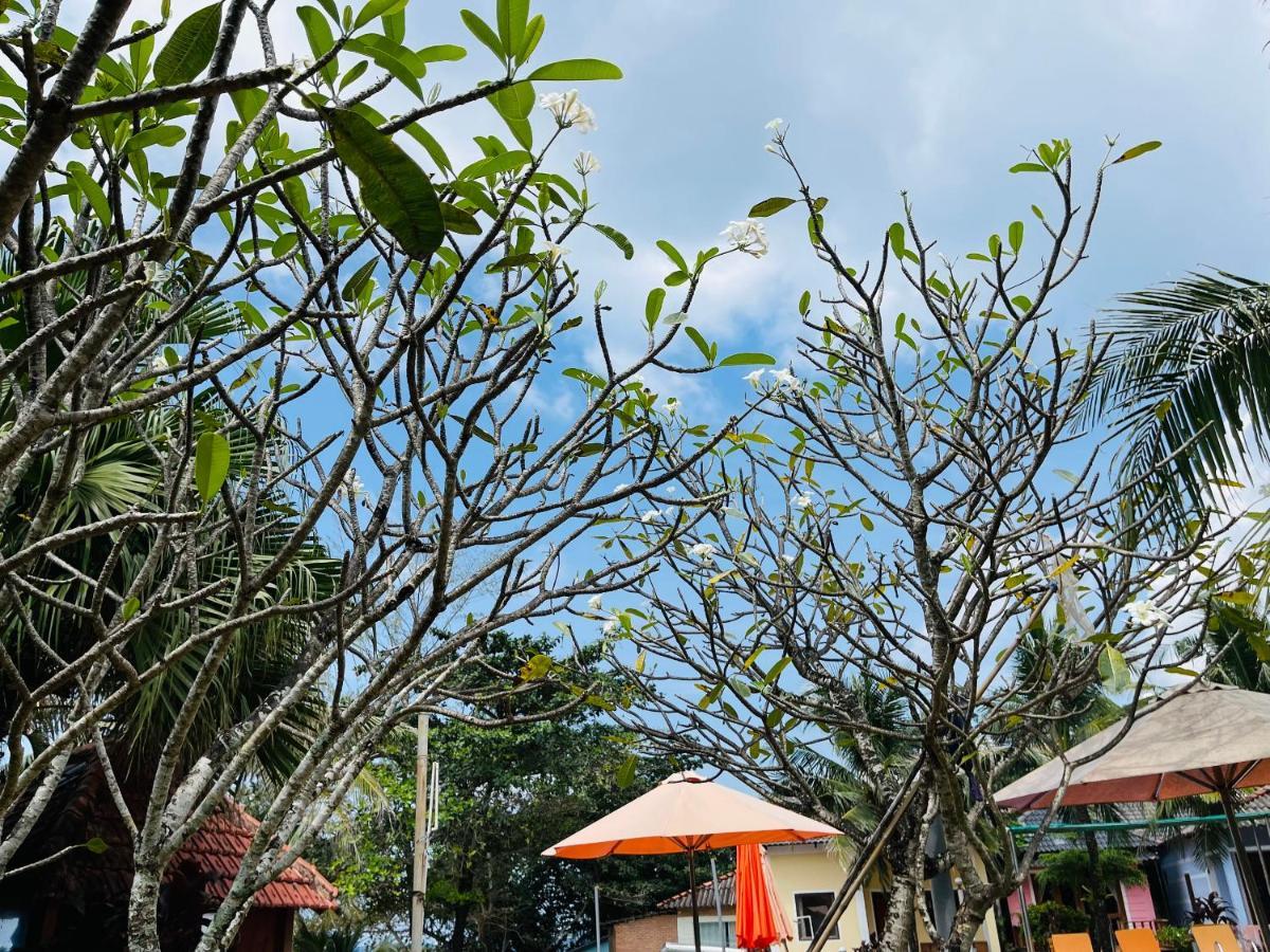 Orange Phu Quoc