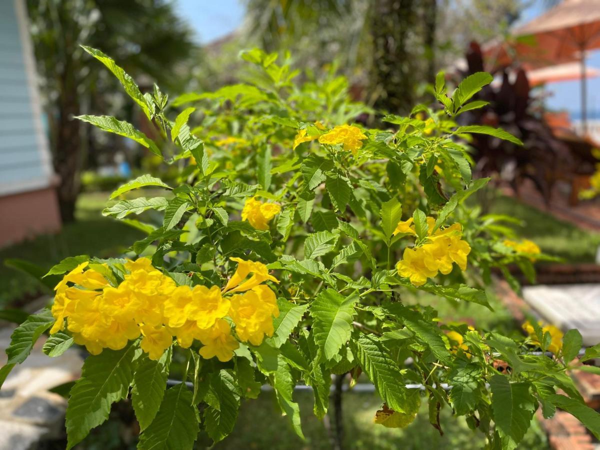 Orange Resort Phu Quoc