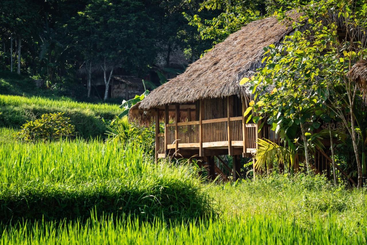 Lodge Puluong Luna *