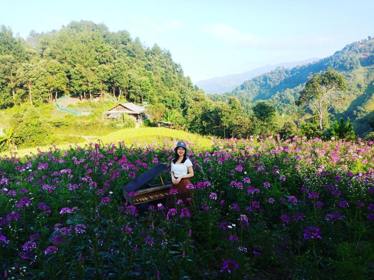 Guest house Big View Homestay, Tour & Vegetarian Mu Cang Chai