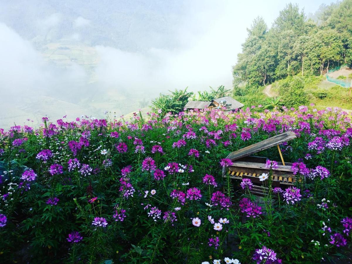 Big View Homestay, Tour & Vegetarian Guest house