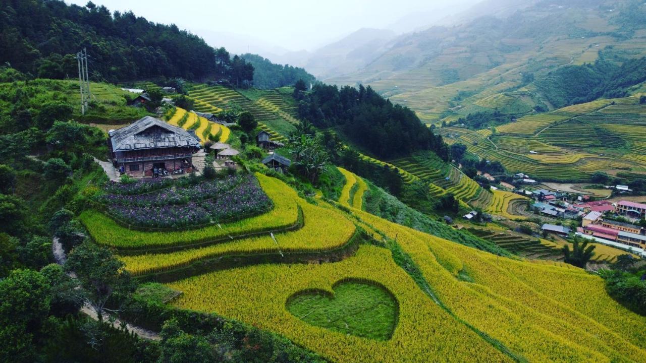 Big View Homestay, Tour & Vegetarian Mu Cang Chai