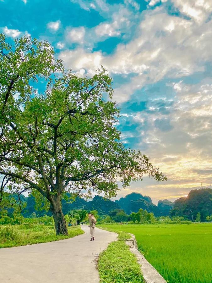 Tam Coc Sky