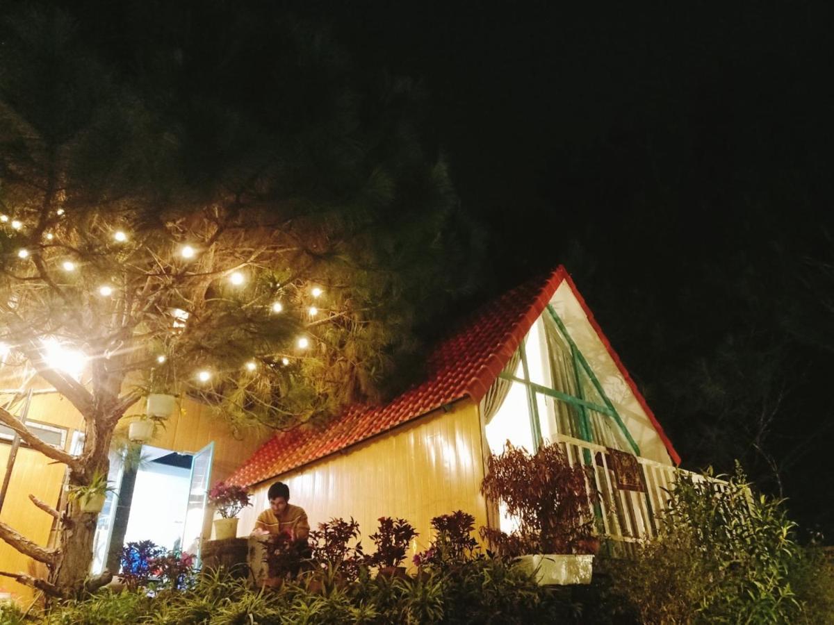 Paradiso Măng đen Ở trọ *
