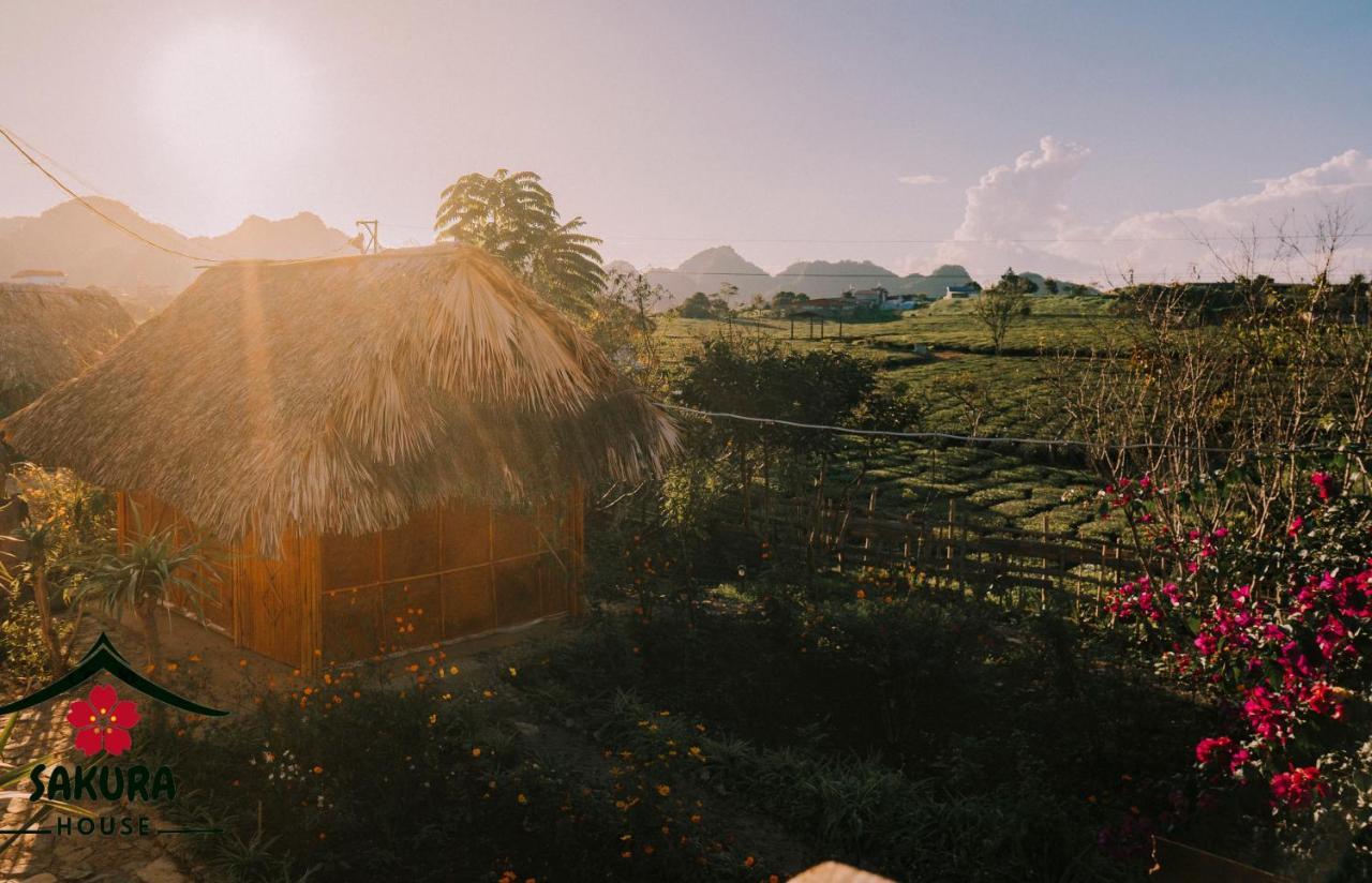 Farm stay Sakura House - Vuon Dao *