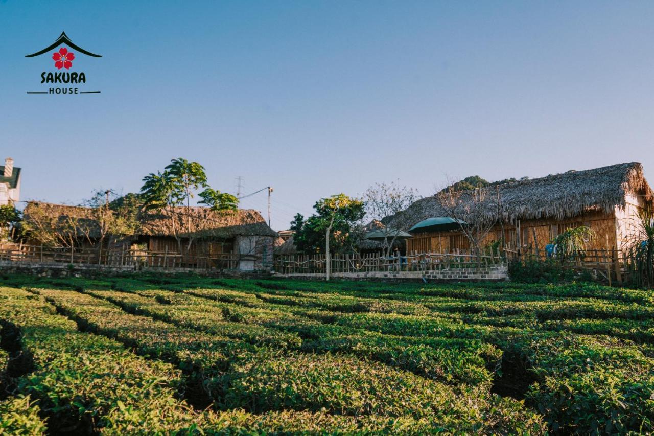 Sakura House - Vuon Dao Farm stay *
