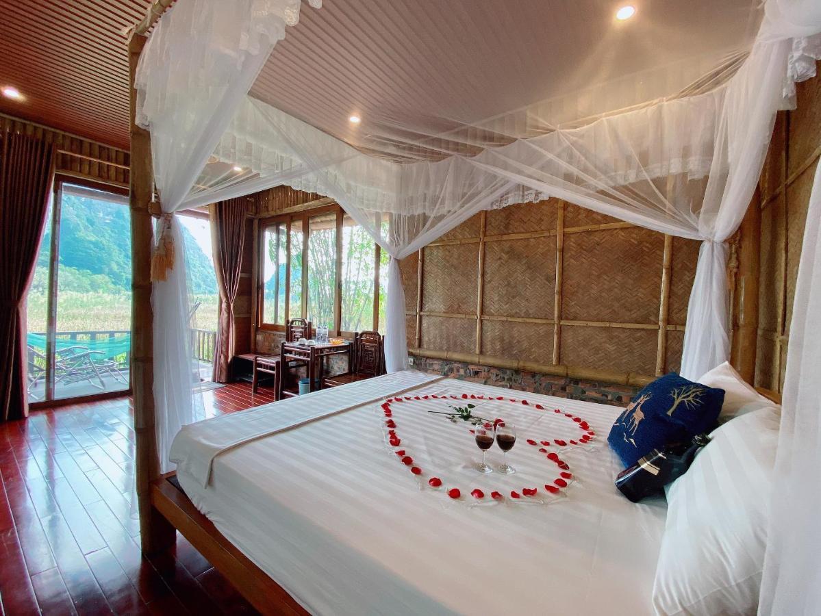 Homestay Lotus Field *