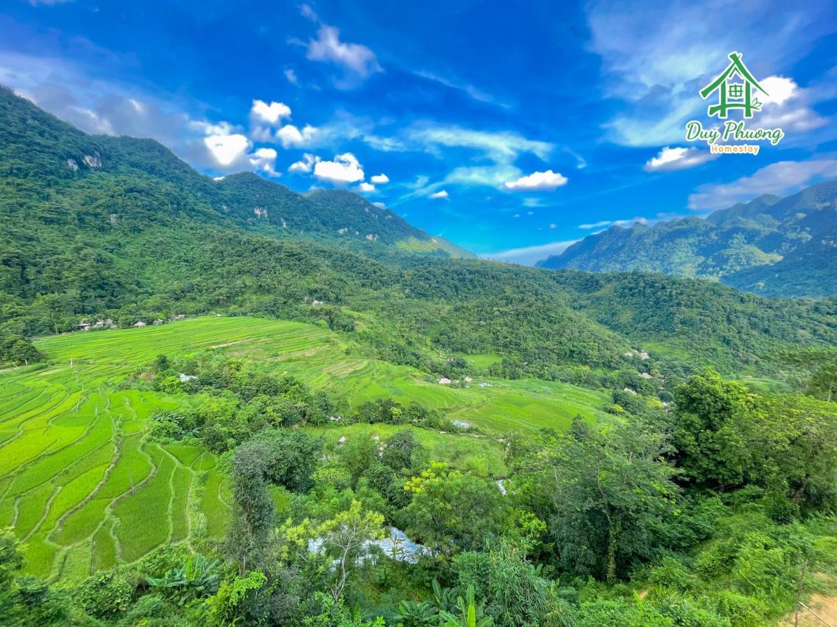 Pu Luong - Duy Phuong Bed & Breakfast *