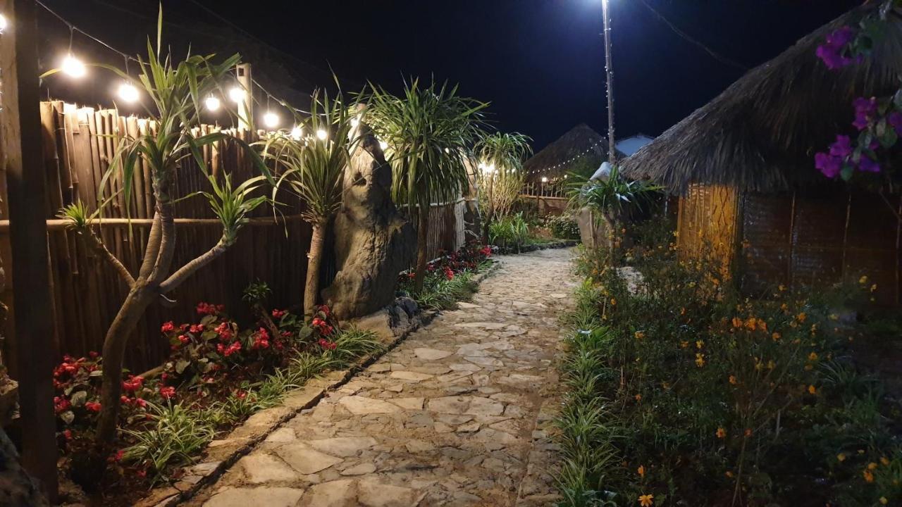 Farm stay Sakura House - Vuon Dao