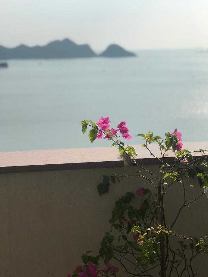 Guest house Thai Bao Dong Khe Sau