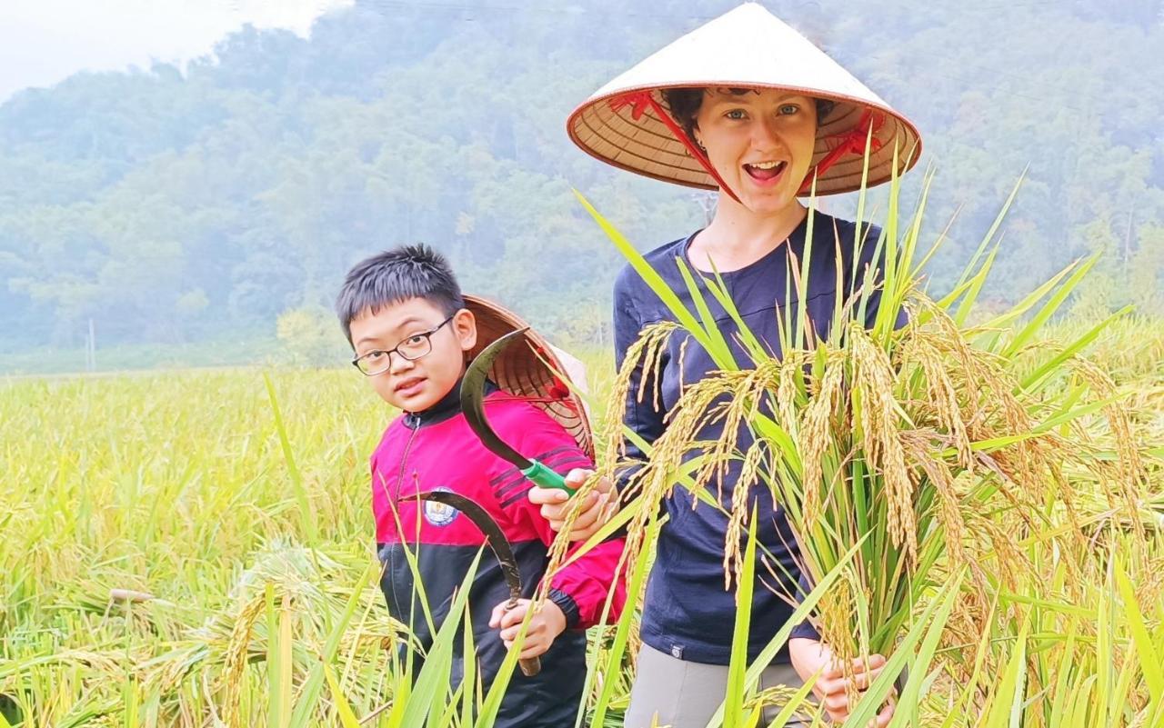 Ở trọ Truong Huy *
