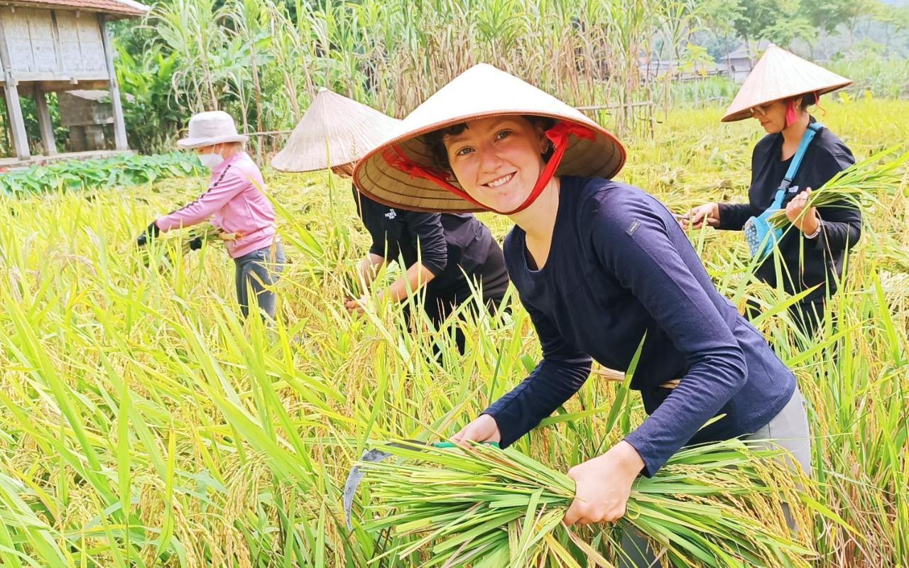 Ở trọ Truong Huy *
