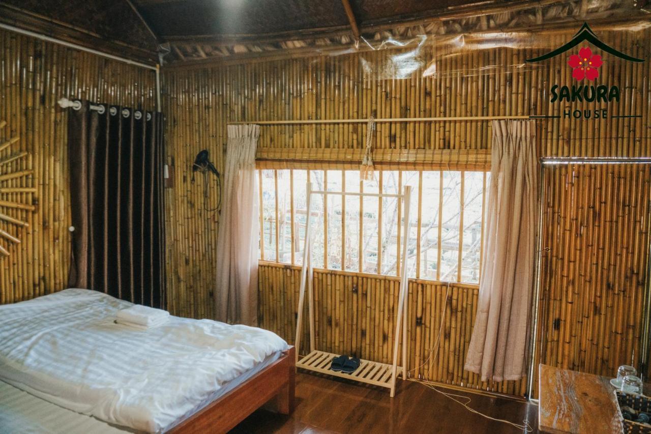 Sakura House - Vuon Dao