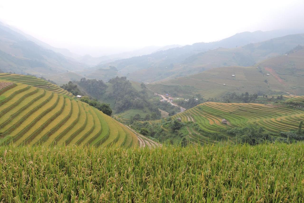 Lodge Hello & Tours Mu Cang Chai