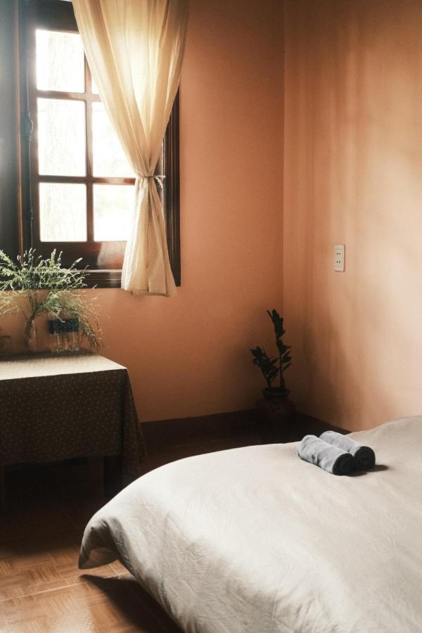 Tron Homestay *