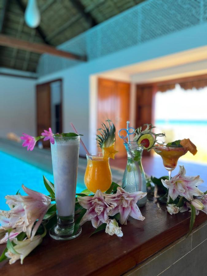 Organic Resort
