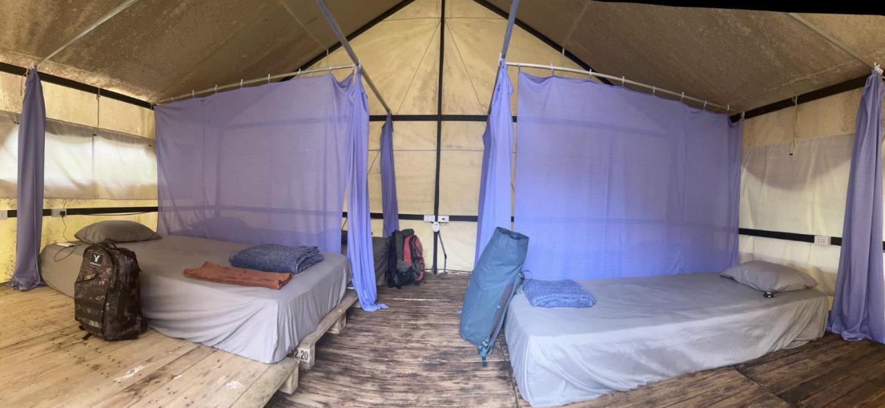 Condao Backpacker - Loco Camping * Chi Khu Co Ong