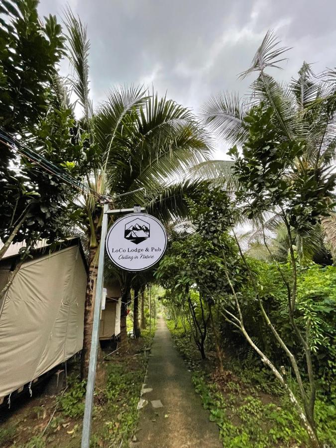 Condao Backpacker - Loco Camping *