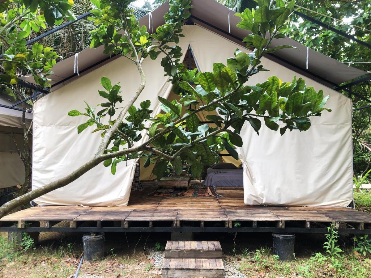 Condao Backpacker - Loco Camping Luxury tent *