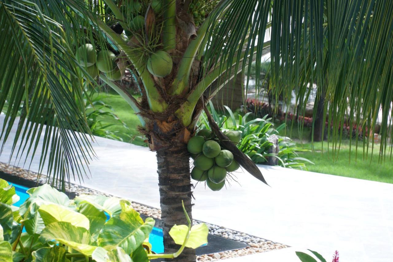 Ravenala Muine Hotel