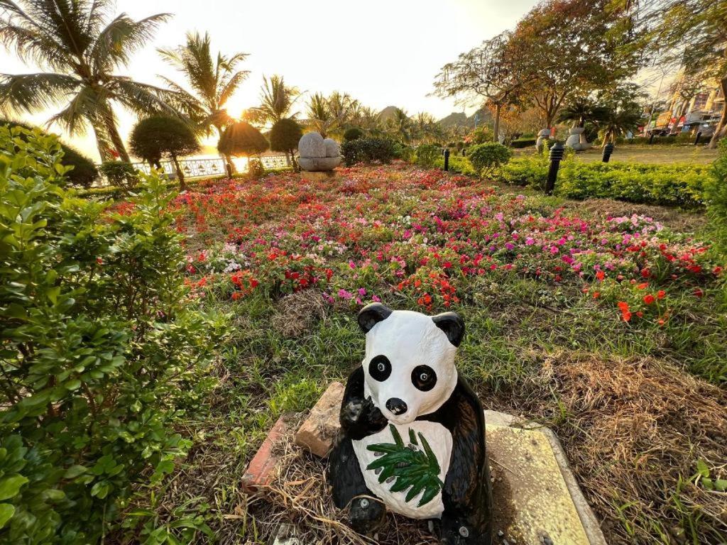 Guest house Thai Bao 2*
