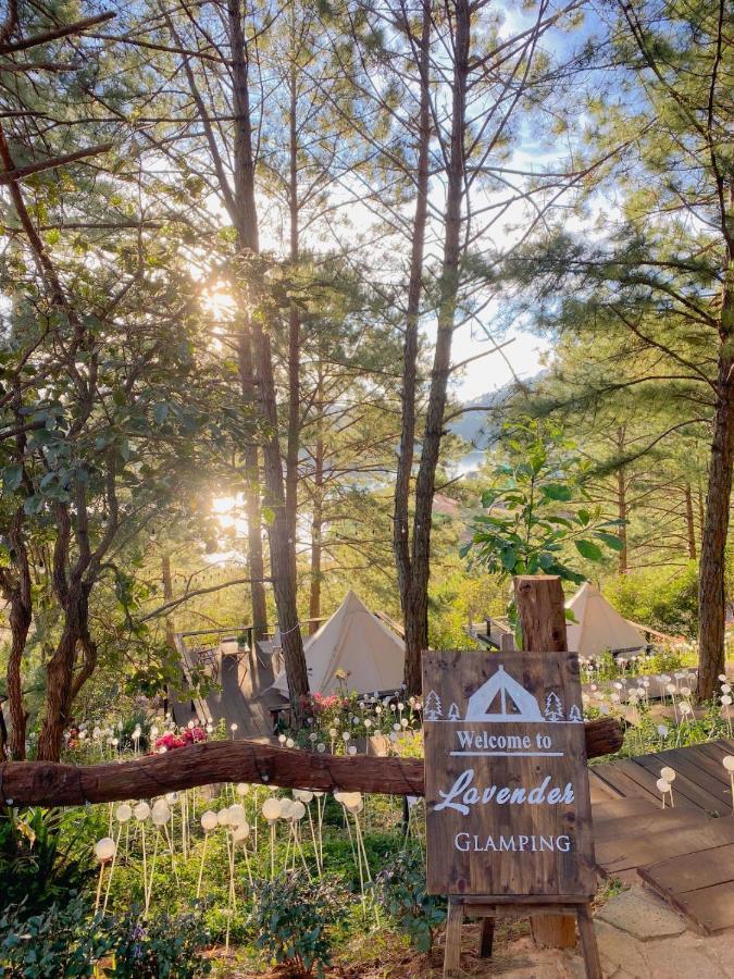 Lavender And 4* Da Lat