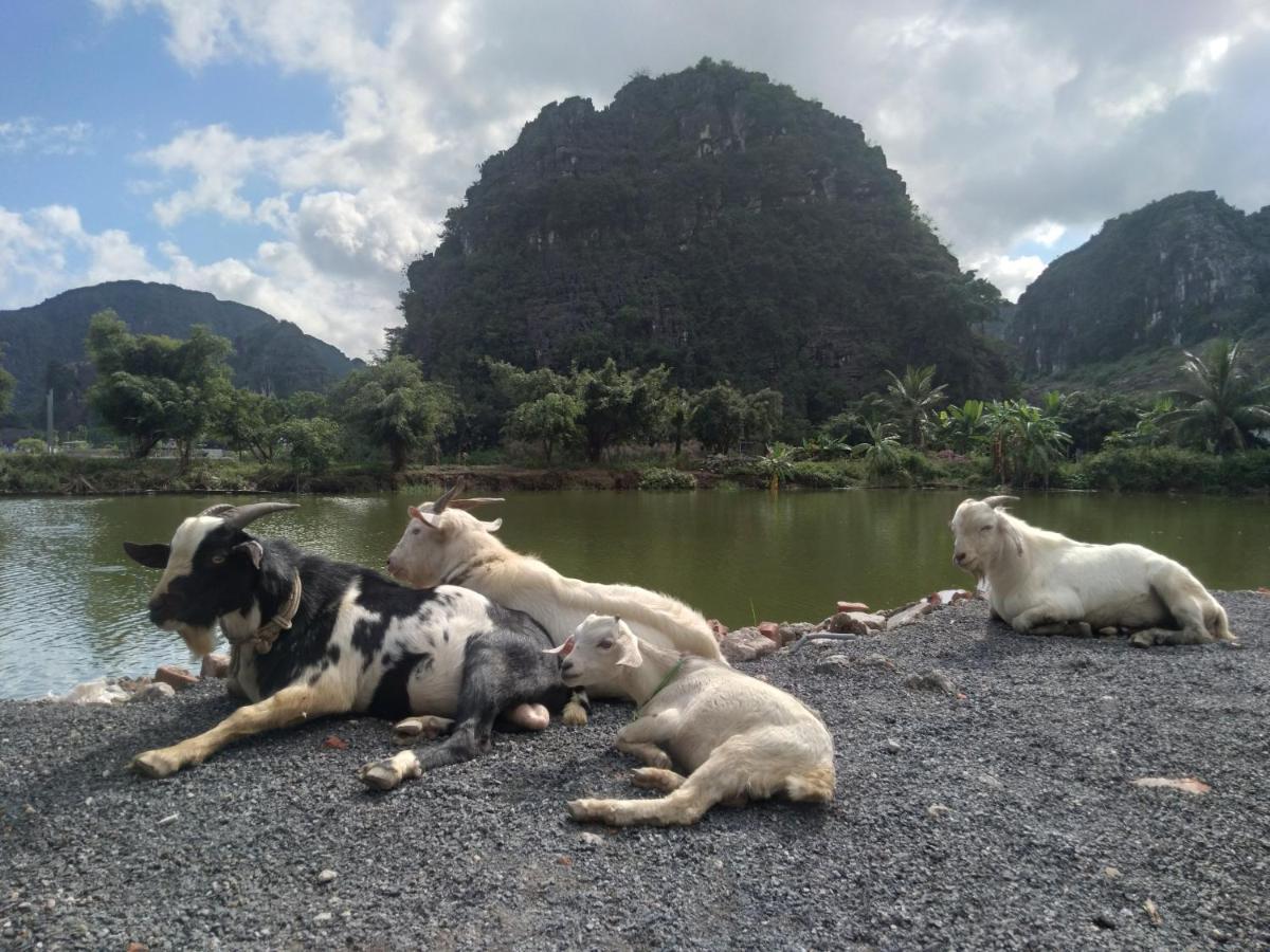 Ali Ninh Binh