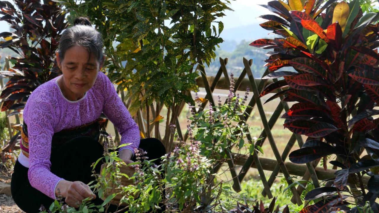 Homestay Nha Tan - And Tours *