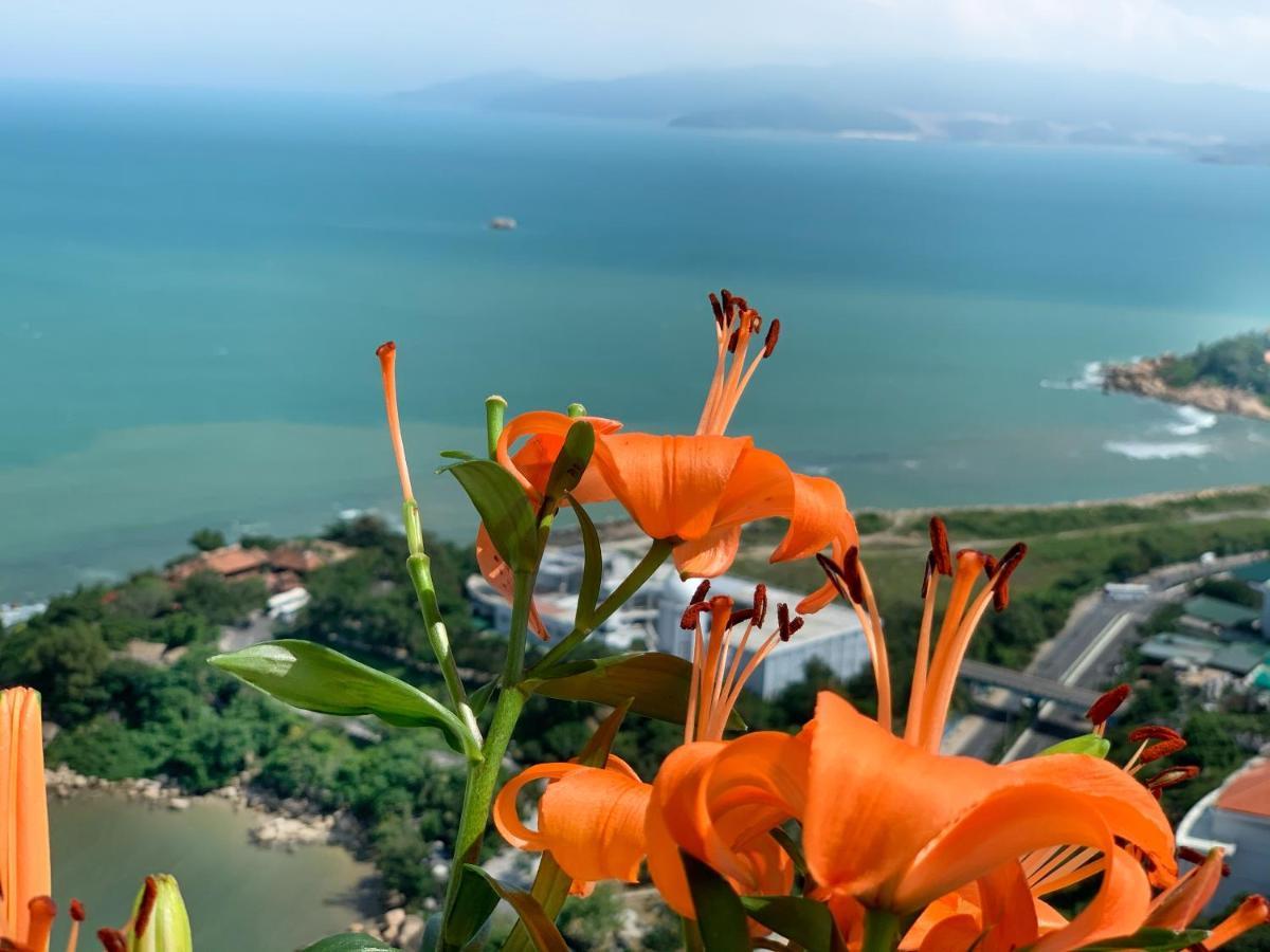 Comfortzone * Nha Trang