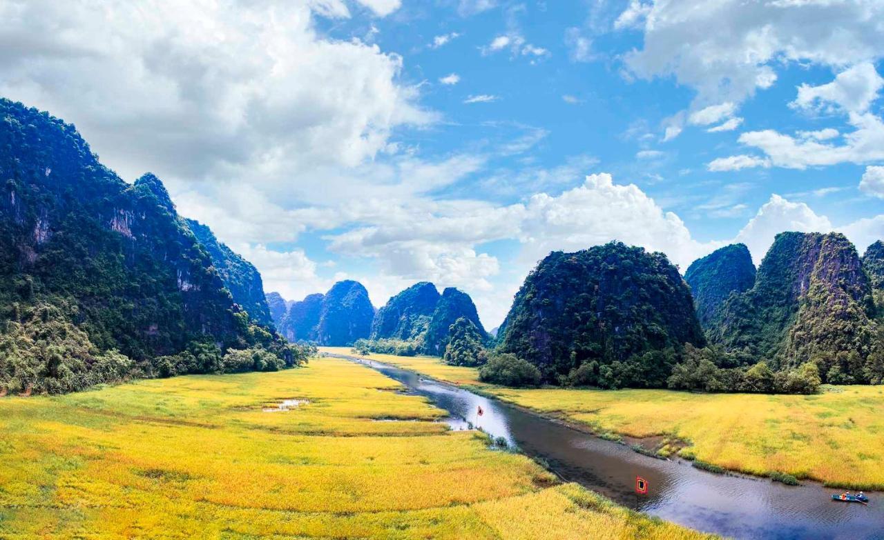 Tam Coc Lily
