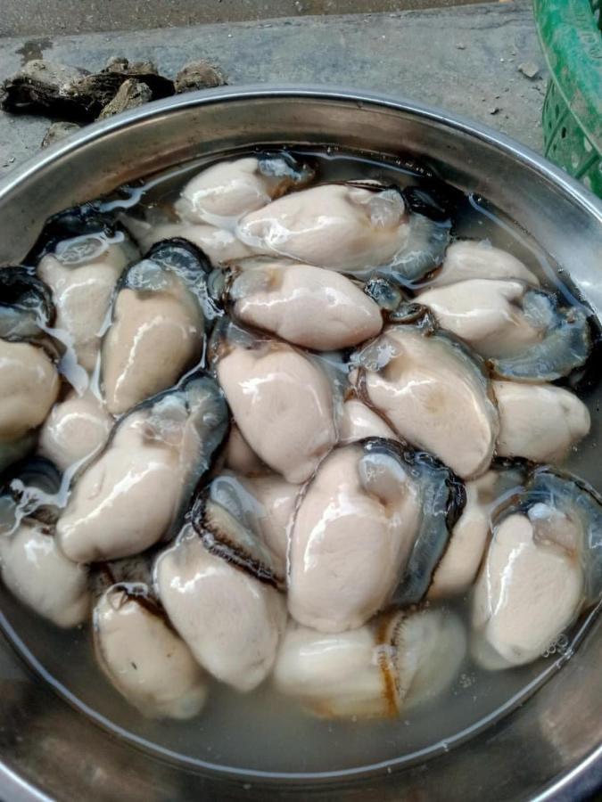 Guest house Thai Bao Dong Khe Sau