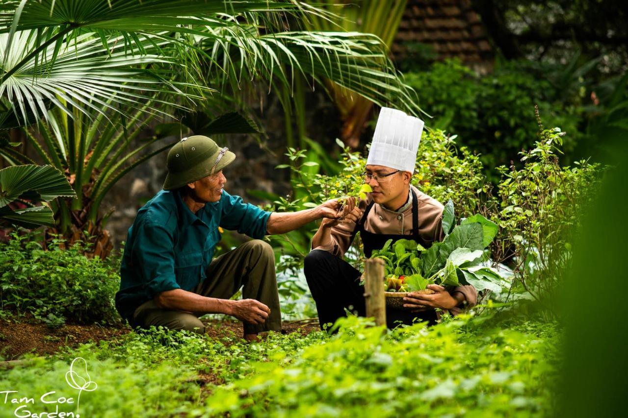 Tam Coc Garden 5* Ninh Binh